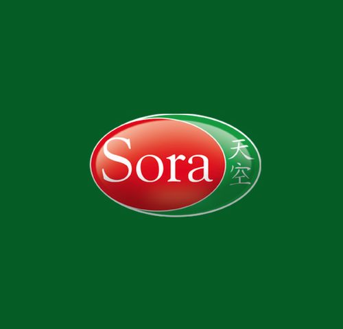 sora alimentos